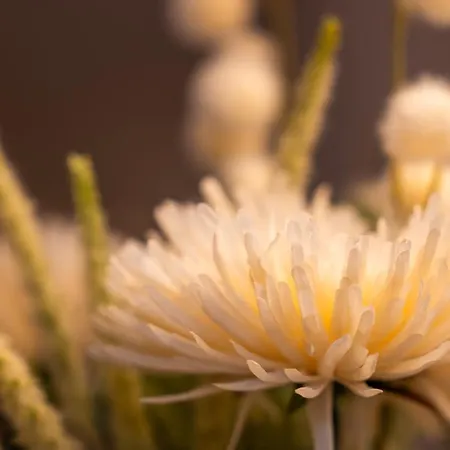 Apartamento Im Zentrum Schoener Wohnen Inkl. Parkplatz *