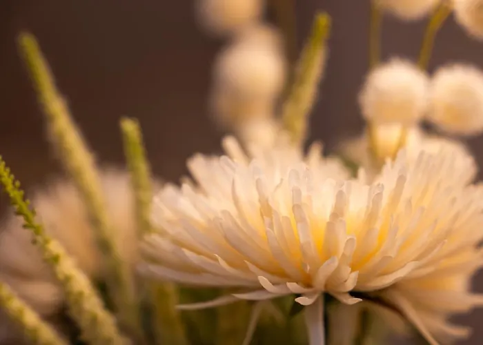 Lejlighed Im Zentrum Schoener Wohnen Inkl. Parkplatz *